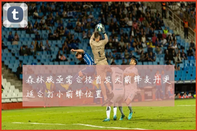 森林狼亟需合格首发大前锋麦丹更适合打小前锋位置